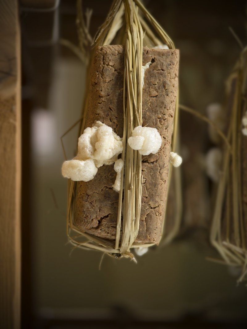 블루스 리듬에 맞춰 빛나는 항아리·터지는 막걸리 기포 (출처=연합뉴스)