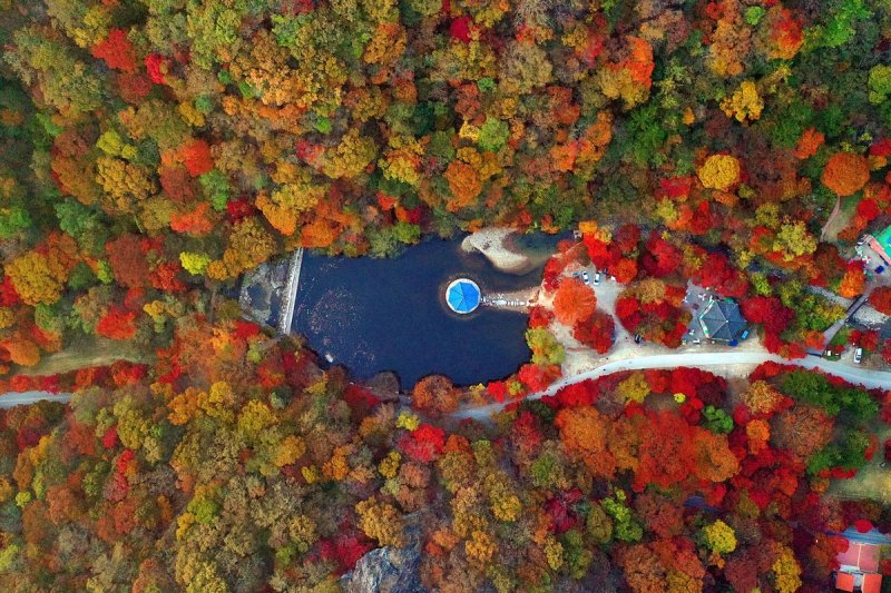 단풍 물든 내장산 우화정 자료사진.