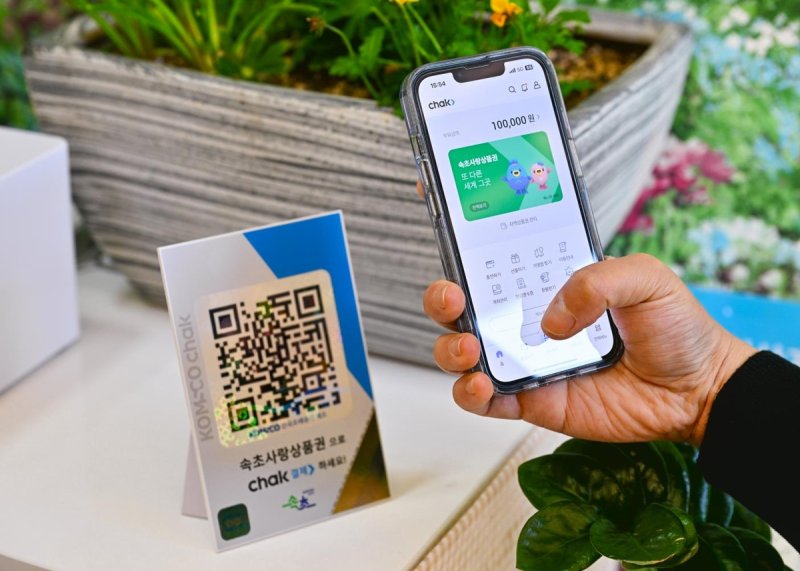 속초 사랑 상품권 (출처=연합뉴스)