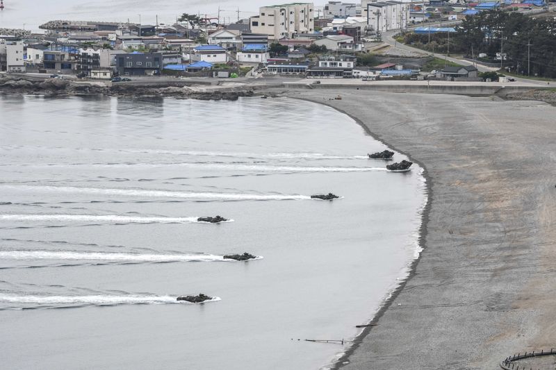 해군·해병대, 포항서 여단급 합동상륙훈련 실시