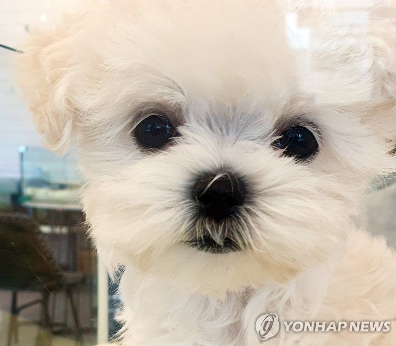연합바카라사이트 소개