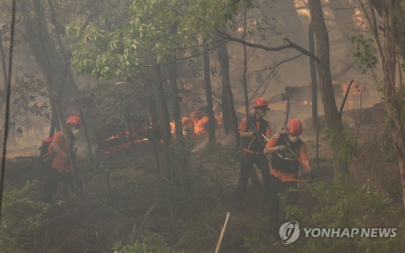 번지는 산불 막는 소방관 (출처=연합뉴스)
