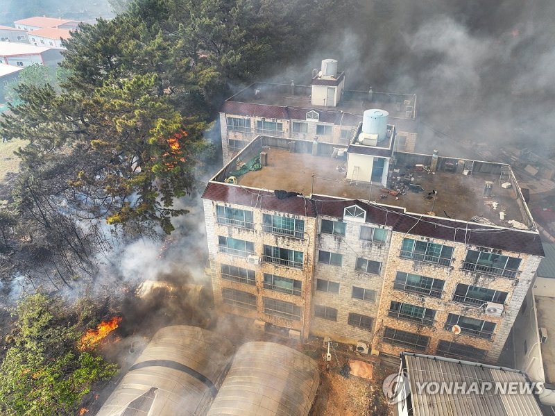 민가 다다른 산불 (출처=연합뉴스)