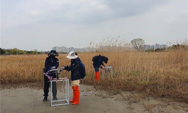인천 소래습지생태공원 식물과 환경 조사 본격 추진…탄소저감 효과 검증