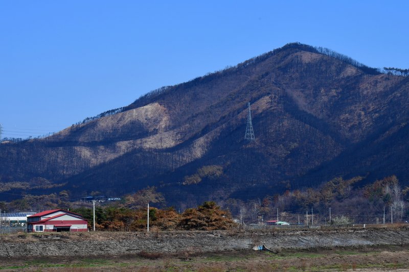 4월 7일 오전 산불피해 원타임카지노인 경북 영덕군 달산면 산이 온통 검은색으로 변해 있다. 뉴스1