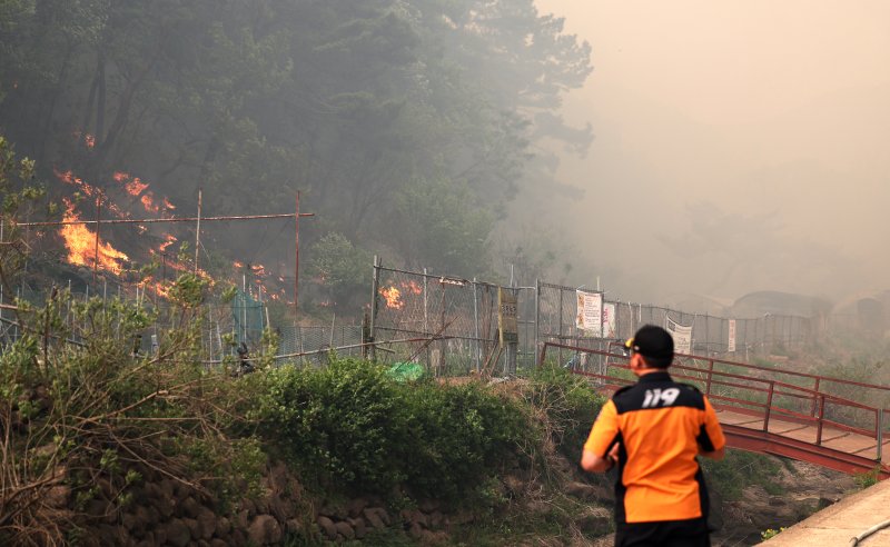 [대구=뉴시스] 이무열 기자 = 28일 오후 2시 1분쯤 대구 북구 노곡동 함지산에서 발생한 산불이 인근인 조야동 민가까지 확산하고 있다. 2025.04.28. lmy@newsis.com
