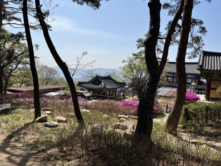호압사 사찰림 산림여가공간 (출처=연합뉴스)