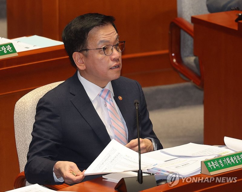 의원 질의 답변하는 최상목 부총리 (출처=연합뉴스)