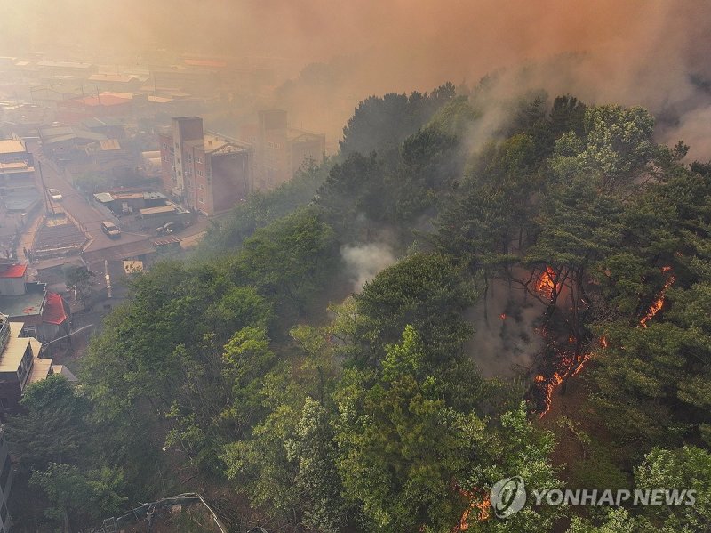 민가 위협하는 산불 (출처=연합뉴스)
