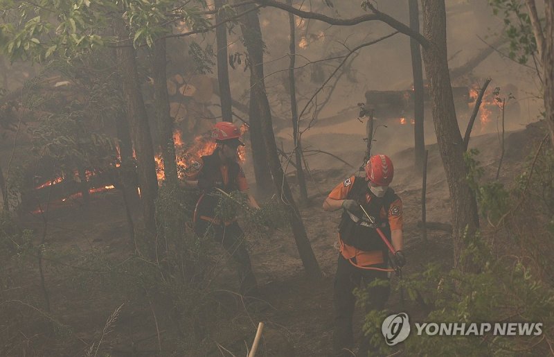 번지는 산불 막는 소방관 (출처=연합뉴스)