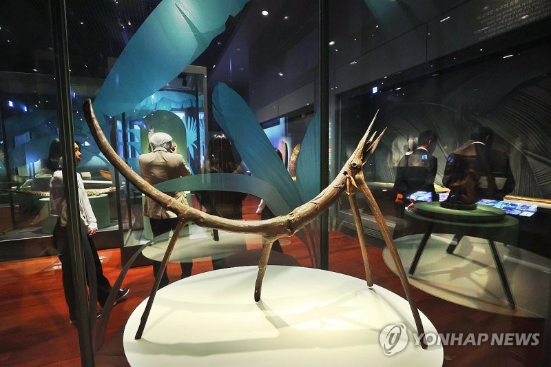 신비한 오세아니아의 세계로 (출처=연합뉴스)