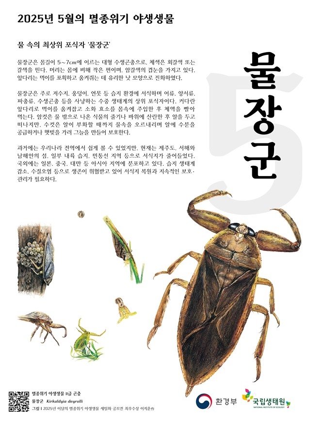 '부성애' 상징 곤충 물장군, '가정의 달' 5월 멸종위기종 선정 (출처=연합뉴스)