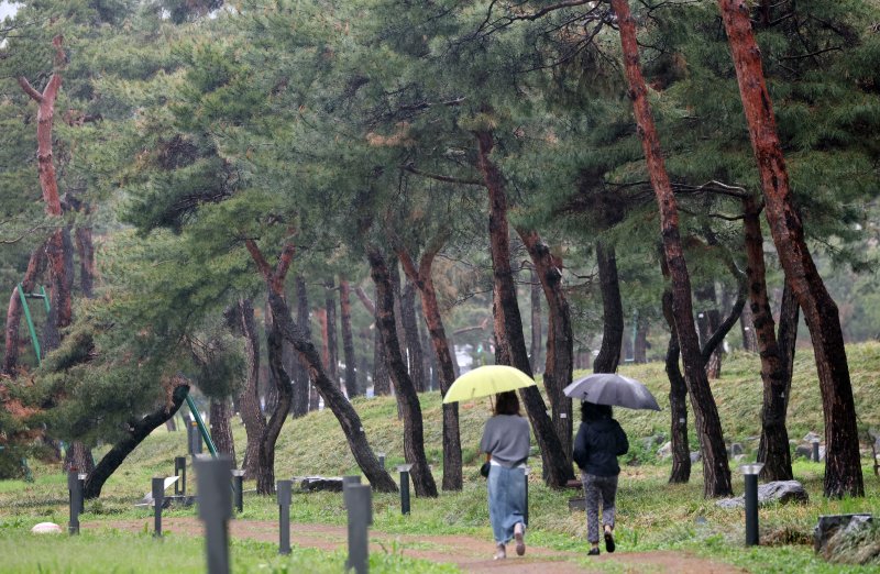 봄비가 내린 22일 오후 경기 수원시 장안구 노송지대에서 시민들이 우산을 쓰고 지나가고 있다. 2025.4.22/뉴스1 ⓒ News1 김영운 기자