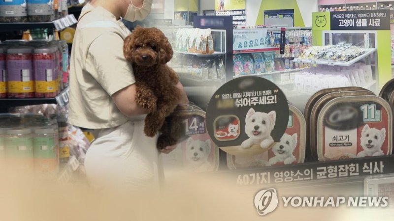 반려동물 (CG) (출처=연합뉴스)