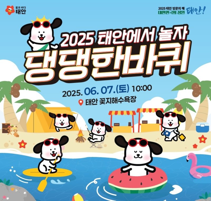 태안서 6월 7일 반려동물 해변운동회 (출처=연합뉴스)