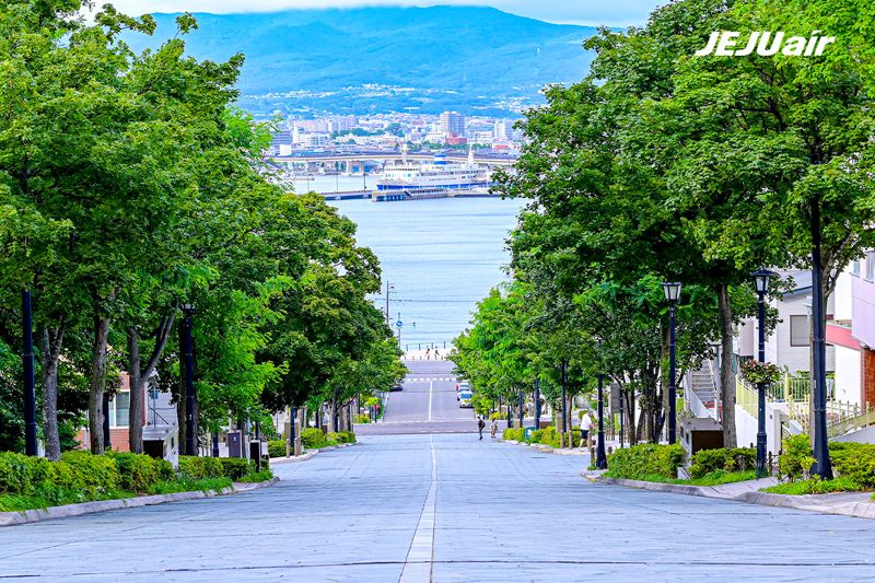 제주항공, 인천~하코다테 신규 취항