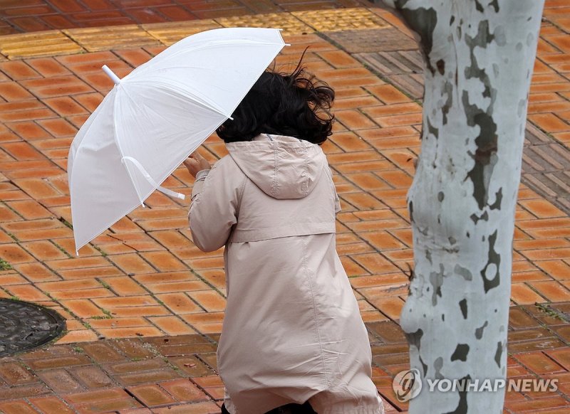 강풍 부는 봄 (출처=연합뉴스)