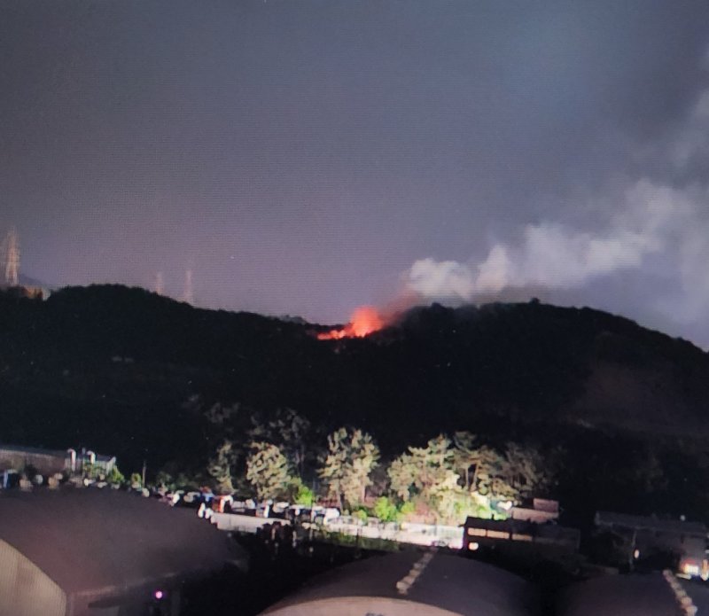 [포항=뉴시스] 1일 오전 1시께 경북 포항시 남구 오천읍 문덕리의 한 야산에서 화재가 발생해 2시간여 만에 꺼졌다. (사진=경북소방본부 제공) 2025.05.01. photo@newsis.com