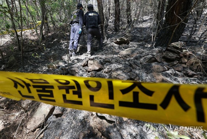 대구 산불 원인은? (출처=연합뉴스)