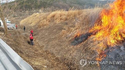 논밭 두렁 태우기 (출처=연합뉴스)