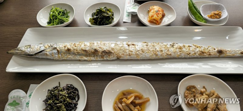 제주 통갈치구이 (출처=연합뉴스)