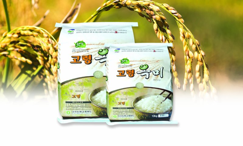 (출처=뉴시스/NEWSIS)