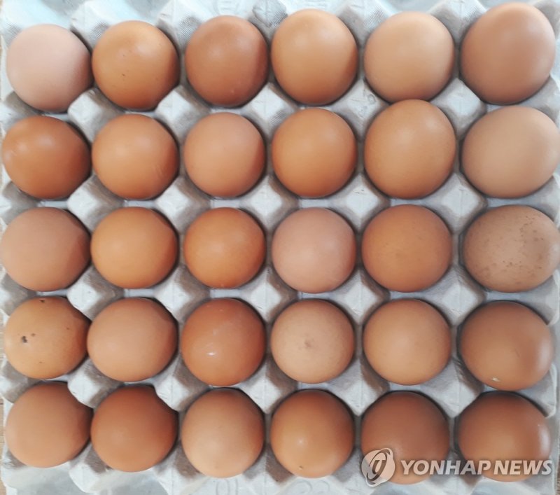 계란 한판 (출처=연합뉴스)
