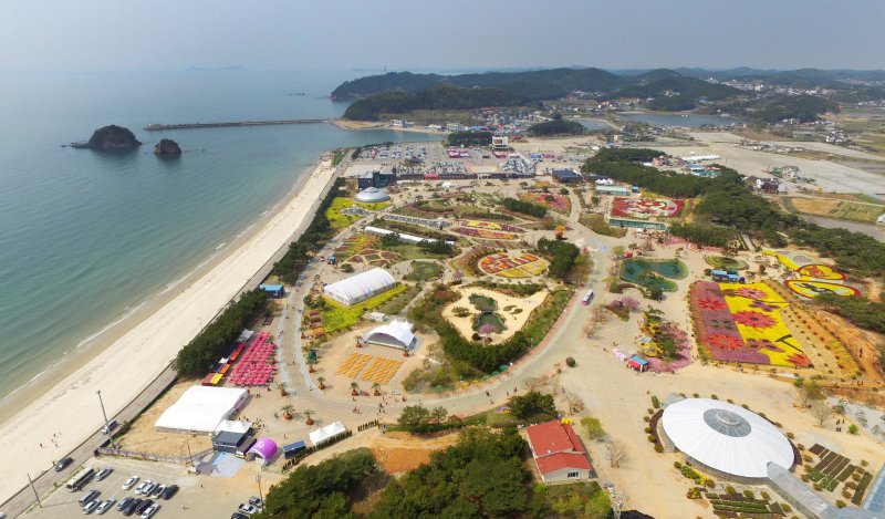 [태안=뉴시스] 안면도 꽃지해안공원서 개최된 세계튤립축제장. *재판매 및 DB 금지