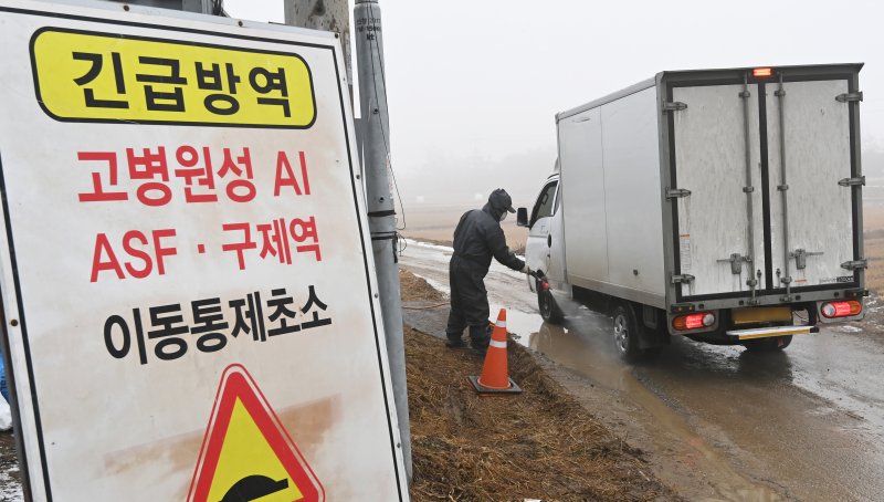 [여주=뉴시스] 김종택 기자 = 사진은 지난 1월 6일 고병원성 조류인플루엔자(AI)가 발생한 경기도 여주시 흥천면 한 산란계 농장 인근 이동통제초소에서 방역 관계자가 차량 방역작업을 하고 있는 모습. 2025.01.06. jtk@newsis.com
