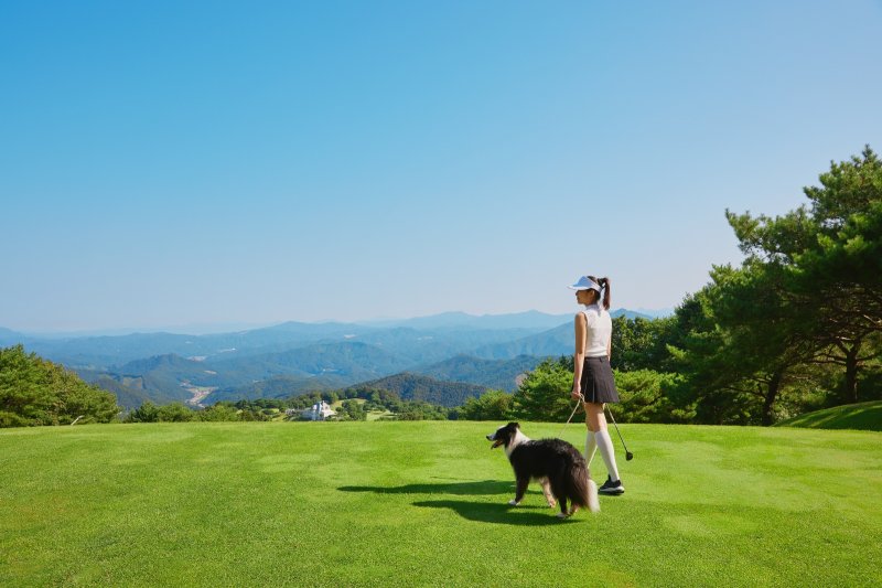 "이번 휴가는 식구 전원 탑승!"... 댕냥이와 완전체 가족여행 떠나요 [Weekend 반려동물]