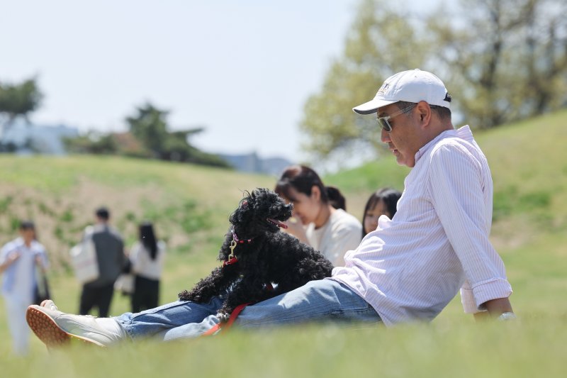 "이번 휴가는 식구 전원 탑승!"... 댕냥이와 완전체 가족여행 떠나요 [Weekend 반려동물]