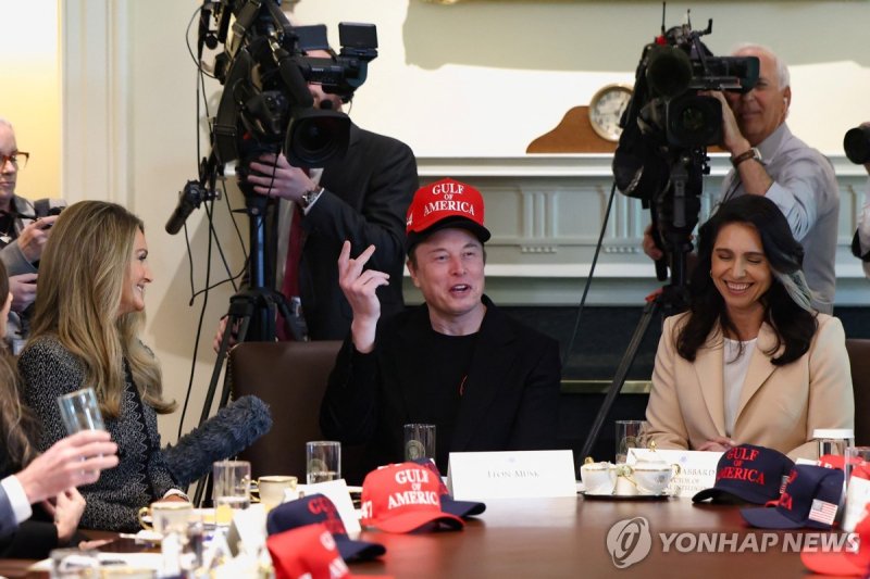 30일(현지시간) 백악관에서 열린 내각 회의에서 발언하는 일론 머스크 (출처=연합뉴스)