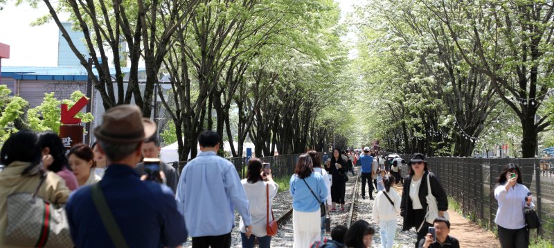 26일 전북자치도 전주시 팔복동 철길이 '2025 전주 이팝나무 축제'를 찾은 시민들과 관광객들로 북적이고 있다. 2025.4.26/뉴스1 ⓒ News1 유경석 기자