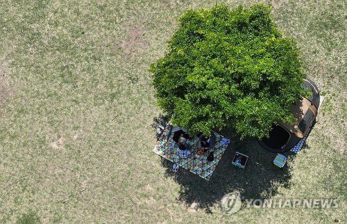 나무 그늘에서 (출처=연합뉴스)