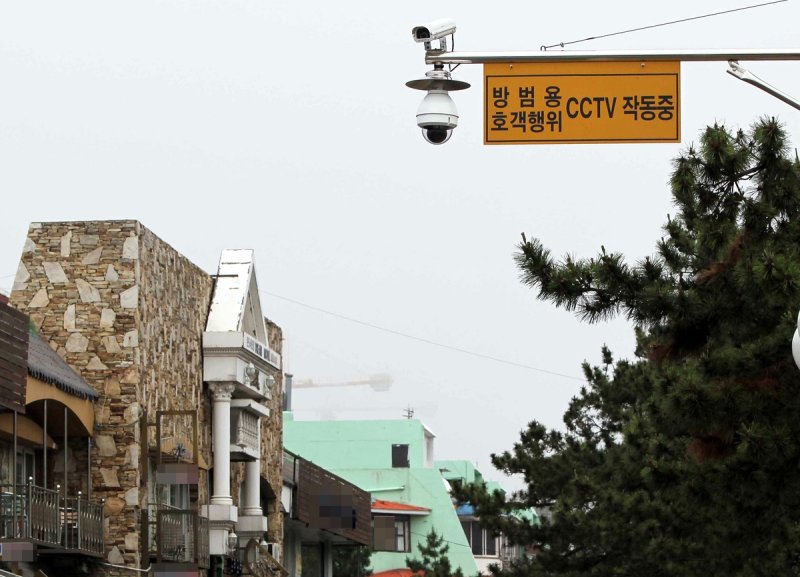 호객행위 단속 CCTV (출처=연합뉴스)