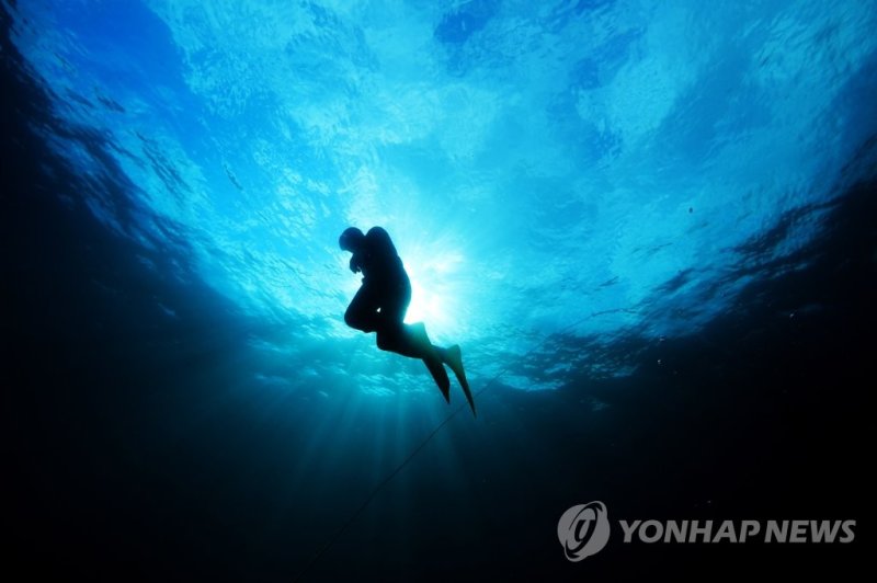 소라 채취하는 해녀 (출처=연합뉴스)