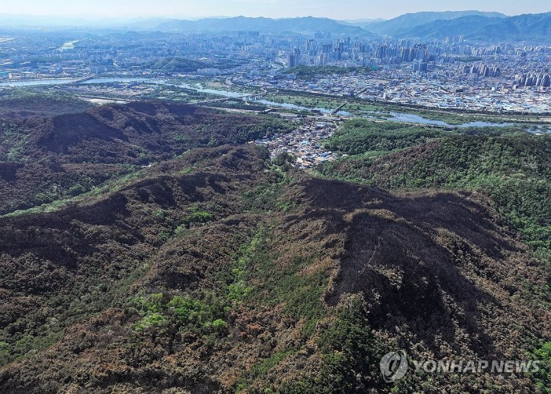 도심 위협했던 산불 흔적 (출처=연합뉴스)