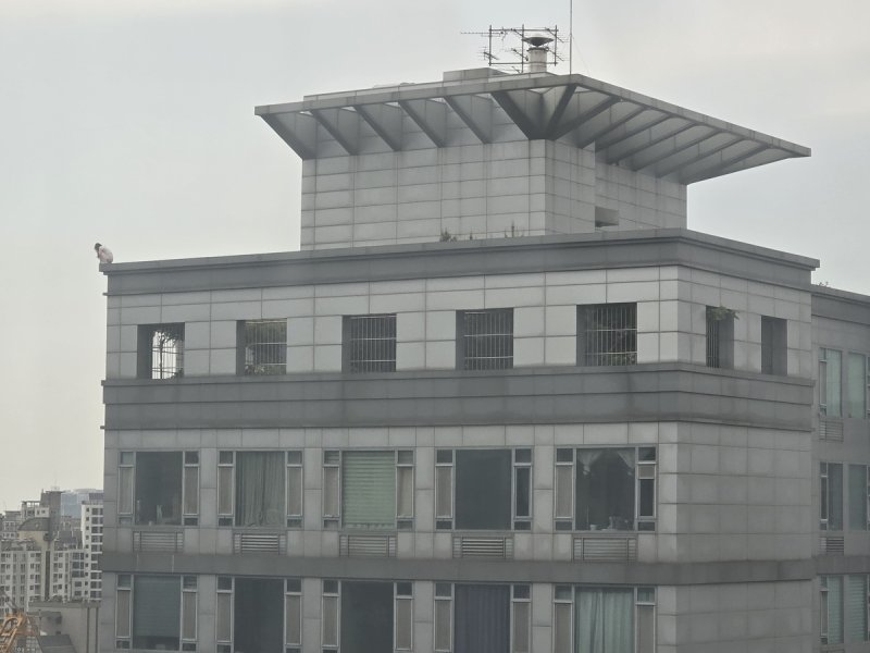 강남 오피스텔 옥상 투신소동 (출처=연합뉴스)
