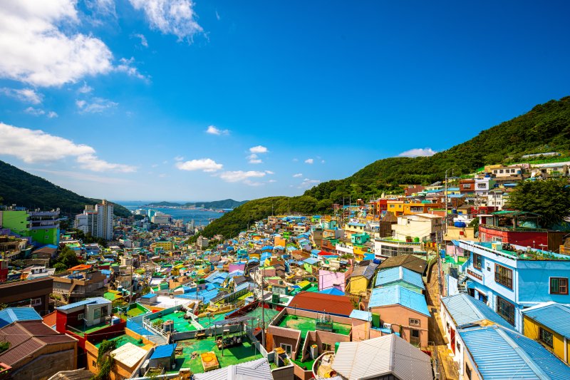 부산 사하구 감천호빵맨토토 전경.(사하구 제공. 재판매 및 DB 금지)