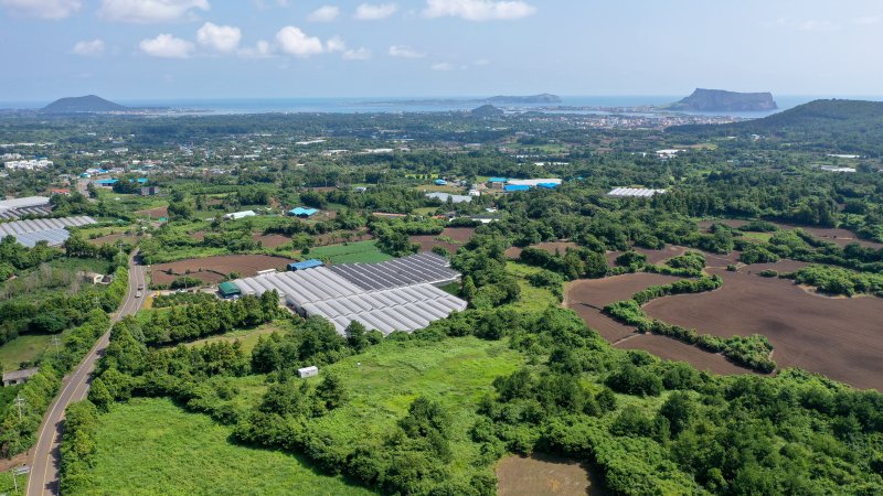 [서귀포=뉴시스] 우장호 기자 = 국토교통부는 6일자로 '제주 제2공항 건설사업' 기본계획 고시를 예고했다. 이번에 고시되는 기본계획에 따르면, 제주 제2공항 건설사업의 총사업비는 5조4532억원(1단계 사업 기준)으로, 주요 시설로는 활주로, 유도로, 계류장, 여객터미널, 화물터미널 등이 포함된다.국토부는 기본계획 고시에 이은 후속 절차로 기본설계와 환경영향평가 등에 착수한다. 5일 제주 서귀포시 성산읍 상공에서 제2공항 예정 부지를 바라본 모습. 2024.09.05. woo1223@newsis.com