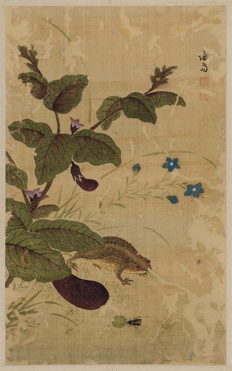 정선 《화훼영모화첩》 <하마가자 alt=