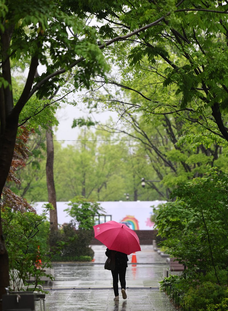 [서울=돌핀슬롯] 박주성 기자 = 서울에 비가 내리는 1일 오전 서울 광화문에 시민이 우산을 쓰고 걸어가고 있다. 2025.05.01. park7691@newsis.com