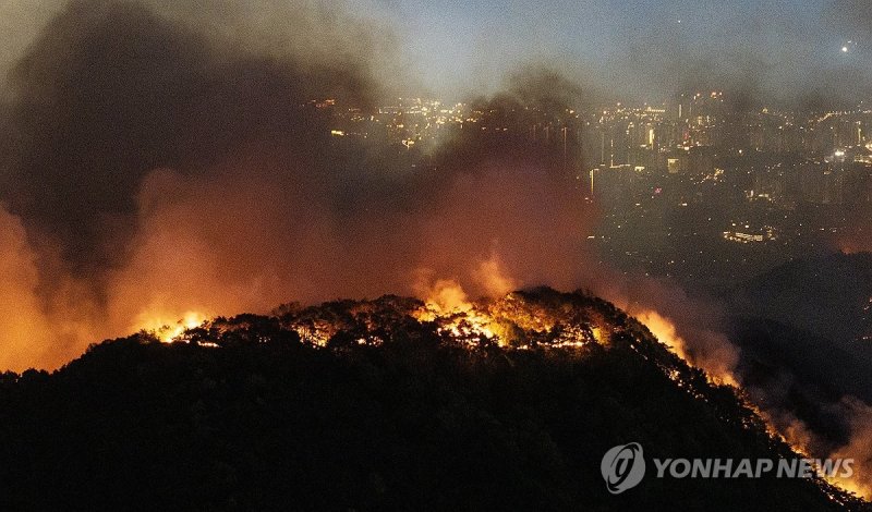 대구 도심 앞두고 불타는 산림 (출처=연합뉴스)