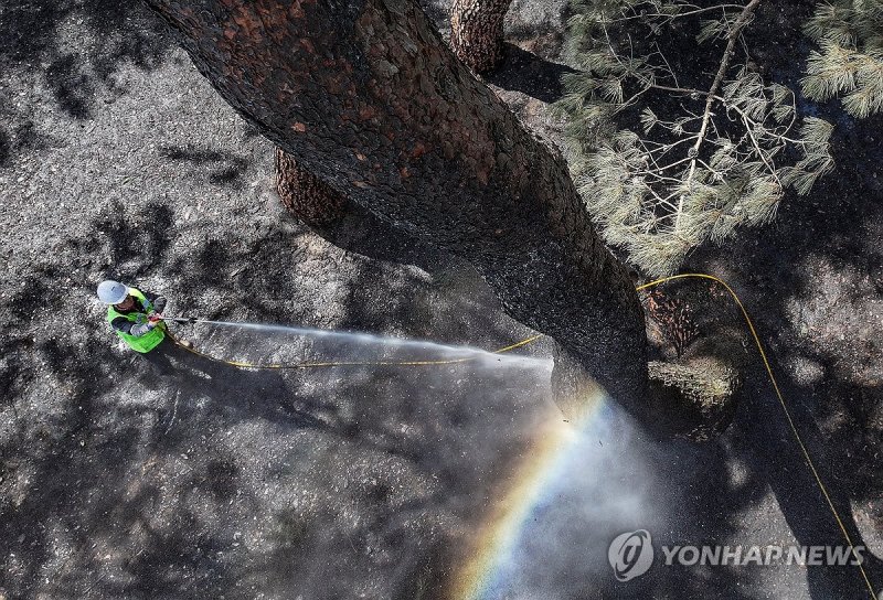 산불에 잿더미 된 자연유산…세척 작업 한창 (출처=연합뉴스)