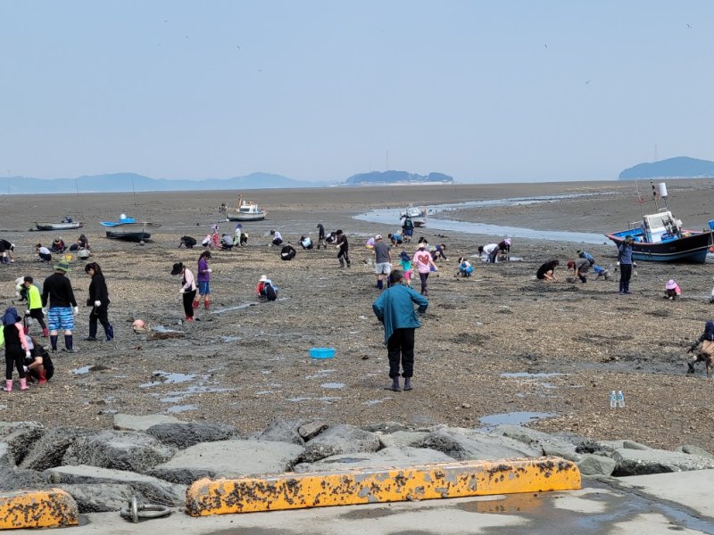 [서산=뉴시스] 충남 서산 중리어촌체험슬롯 꽁 머니을 찾은 관광객들이 바지락 캐기 체험을 하고 있다.(사진=서산시 제공) 2024.06.26. *재판매 및 DB 금지