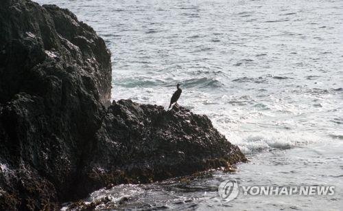 울릉도 (출처=연합뉴스)
