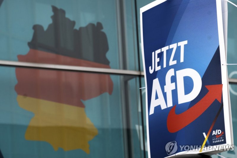 AfD 선거 포스터 (출처=연합뉴스)