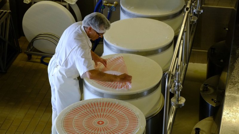 에멘탈 치즈가 만들어지는 과정(스위스정부관광청 제공)