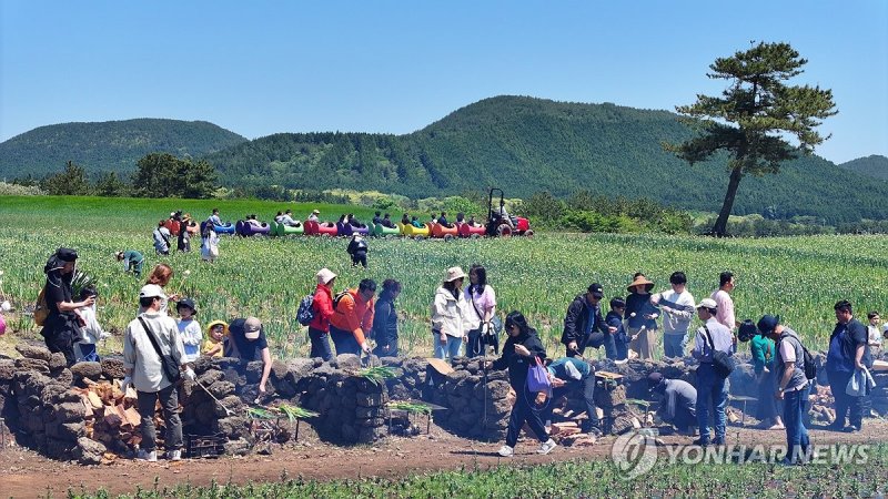 보롬왓 '파릇파릇 대파축제' (출처=연합뉴스)