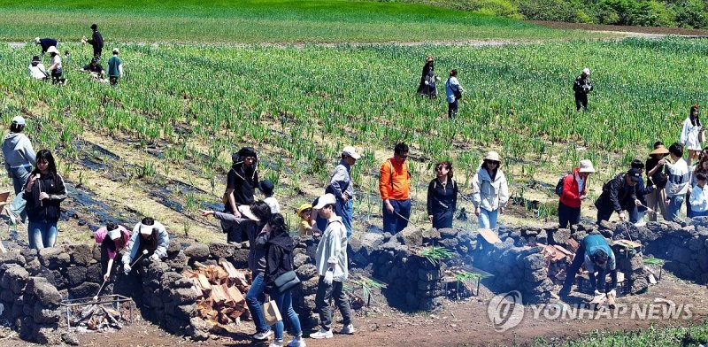 보롬왓 '파릇파릇 대파축제' (출처=연합뉴스)